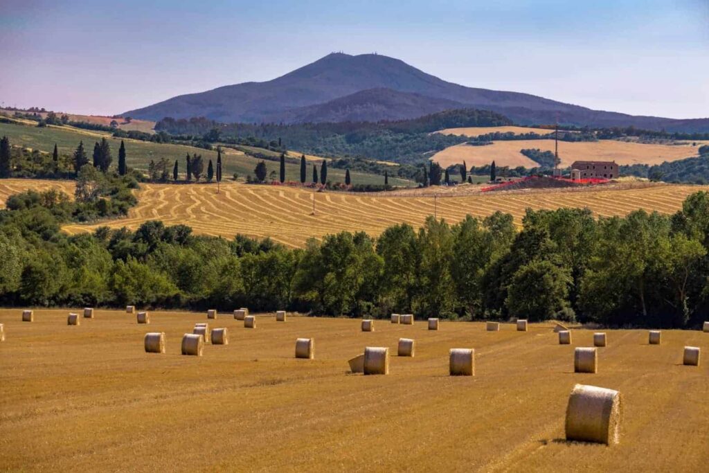 Gli appuntamenti di Agosto!