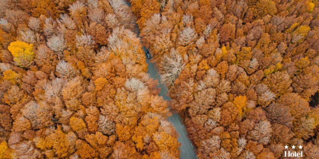 Autunno sull'Amiata tra feste, sagre e foliage!